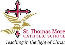 STM logo